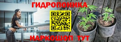 мяу мяу мука Заволжье