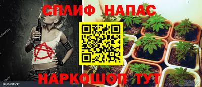прущие грибы Заводоуковск