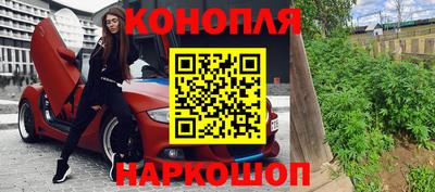 прущие грибы Заводоуковск