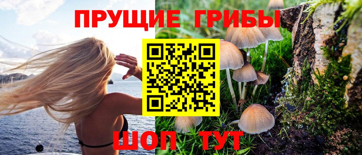 Магадан  где продают наркотики  Вход с VPN  Галлюциногенные грибы мухоморы 